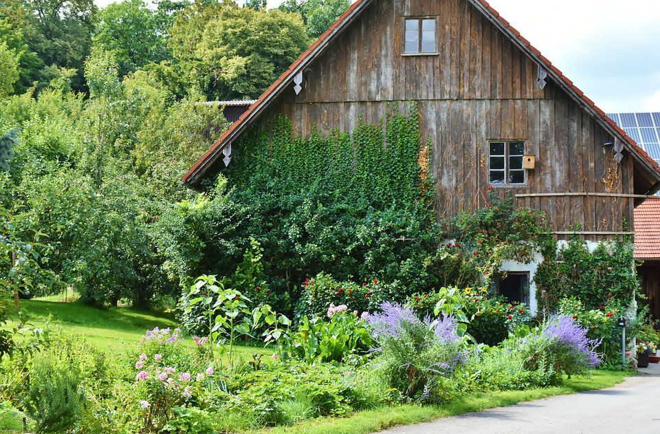 Les avantages de la construction en bois