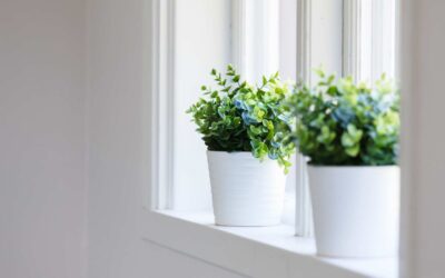 Le duel des plantes artificielles : IKEA contre Home Depot