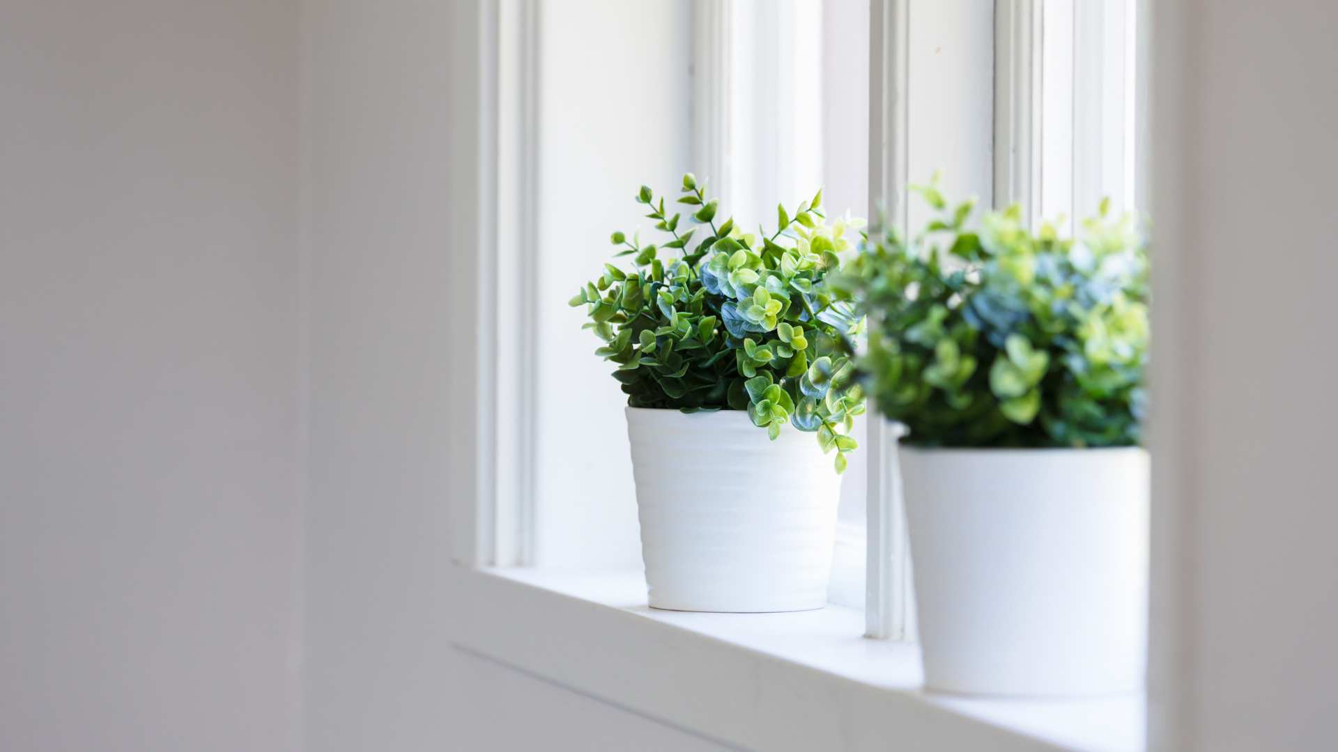 plante artificielle