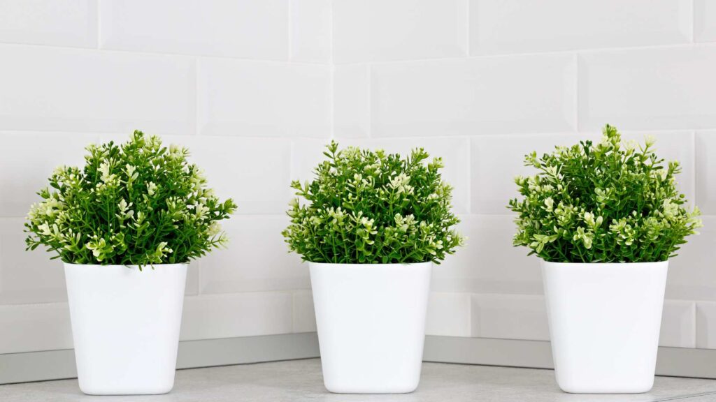 plante artificielle